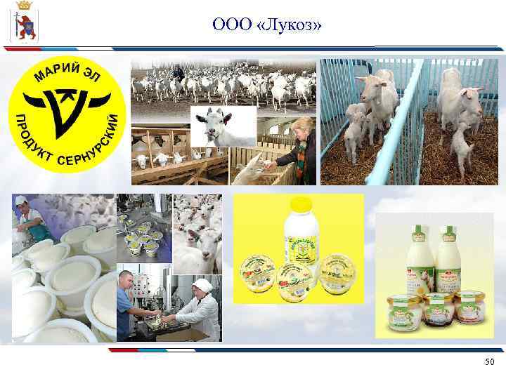 ООО «Лукоз» 50 