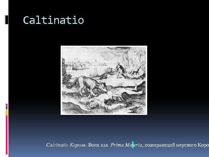 Caltinatio Calcinatio Короля. Волк как Prima Materia, пожирающий мертвого Коро 