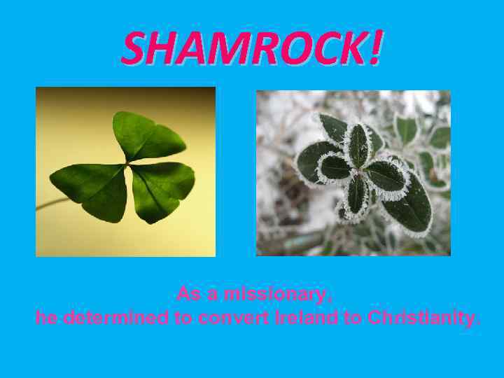 SHAMROCK! Аs a missionary, he determined to convert Ireland to Christianity. 