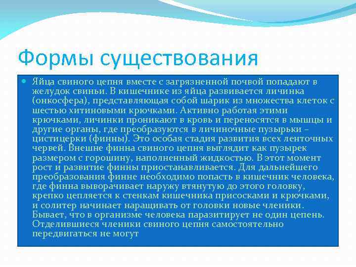 Формы существования Яйца свиного цепня вместе с загрязненной почвой попадают в желудок свиньи. В