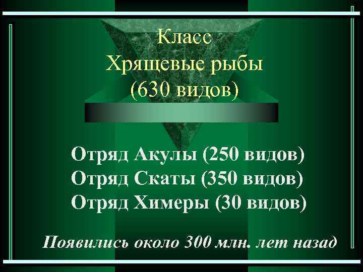 Класс Хрящевые рыбы (630 видов) Отряд Акулы (250 видов) Отряд Скаты (350 видов) Отряд