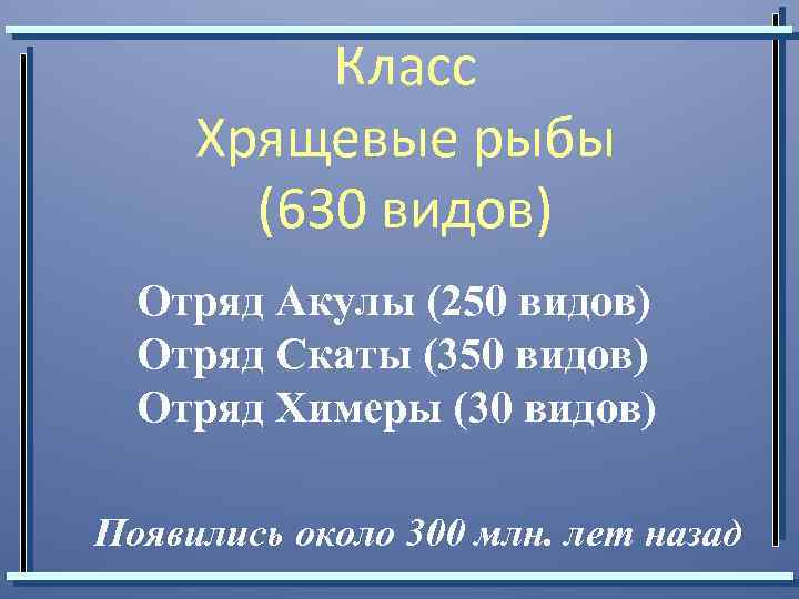 Класс Хрящевые рыбы (630 видов) Отряд Акулы (250 видов) Отряд Скаты (350 видов) Отряд