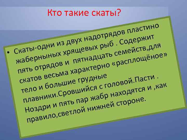 Кто такие скаты? астино дов пл ит адотря одерж двух н рыб. С ни