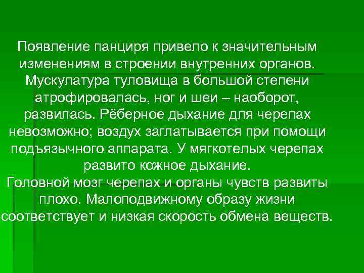 Появление панциря привело к значительным изменениям в строении внутренних органов. Мускулатура туловища в большой