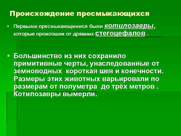 Происхождение пресмыкающихся § Первыми пресмыкающимися были котилозавры, которые произошли от древних стегоцефалов. § Большинство