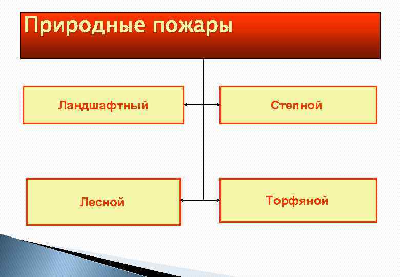 Природные пожары Ландшафтный Степной Лесной Торфяной 
