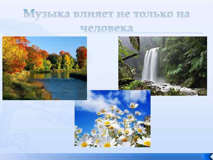Музыка влияет не только на человека 