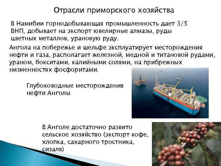 Отрасли приморского хозяйства В Намибии горнодобывающая промышленность дает 3/5 ВНП, добывает на экспорт ювелирные