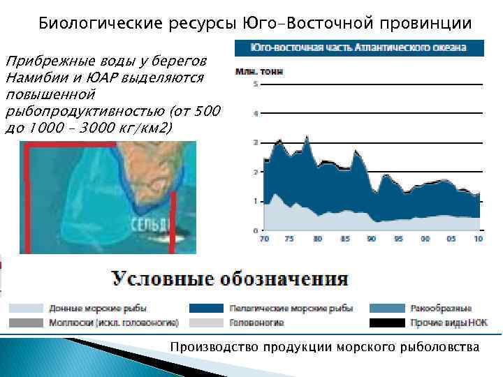 Биологические ресурсы Юго-Восточной провинции Прибрежные воды у берегов Намибии и ЮАР выделяются повышенной рыбопродуктивностью