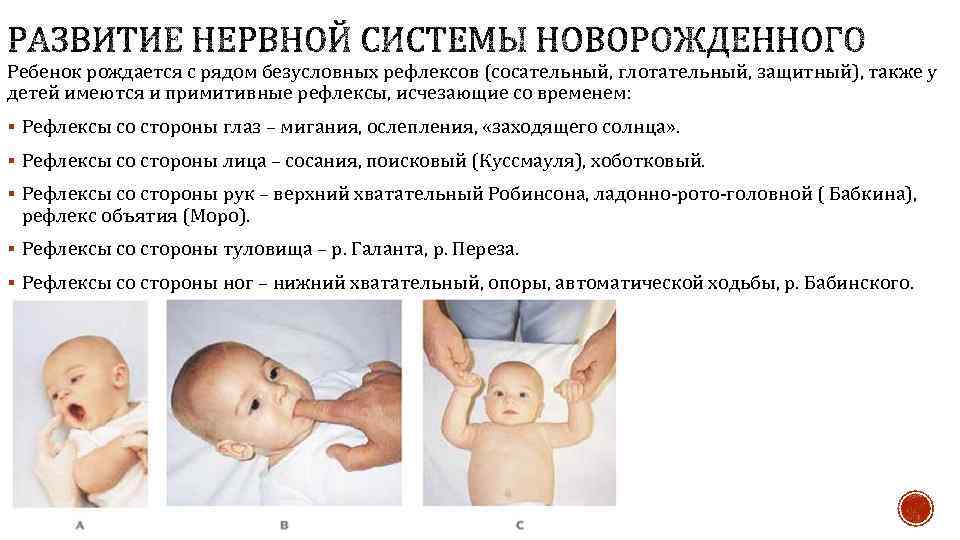 Родился слабый ребенок. Безусловные рефлексы новорожденных. Сознательный рефлекс у детей. Рефлексы новорожденного ребенка. Сосательный рефлекс новорожденного.