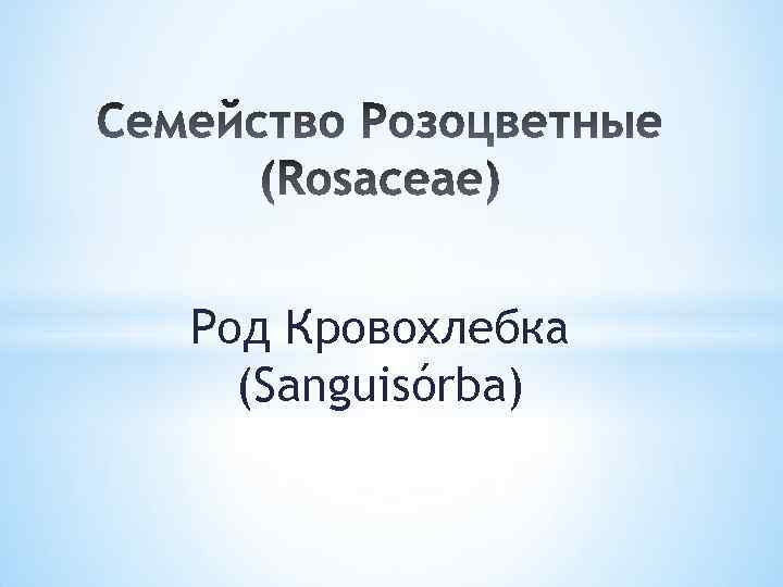 Род Кровохлебка (Sanguisórba) 