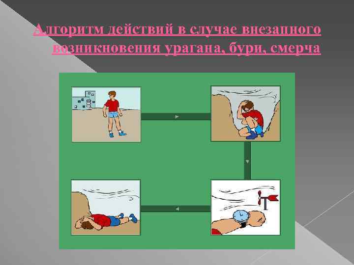 Алгоритм действий в случае внезапного возникновения урагана, бури, смерча 