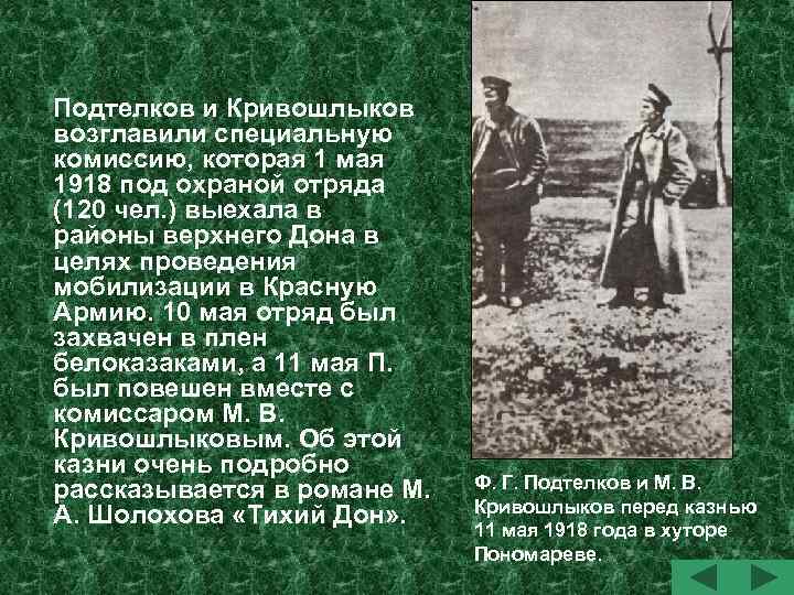 Подтелков и Кривошлыков возглавили специальную комиссию, которая 1 мая 1918 под охраной отряда (120