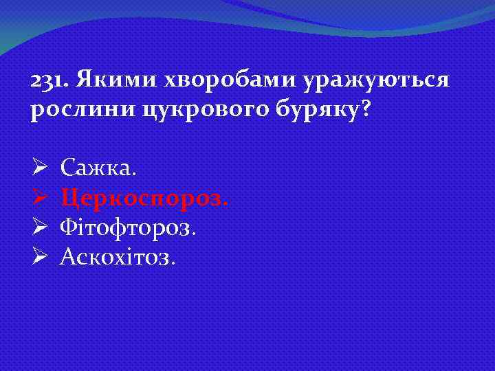 231. Якими хворобами уражуються рослини цукрового буряку? Ø Ø Сажка. Церкоспороз. Фітофтороз. Аскохітоз. 