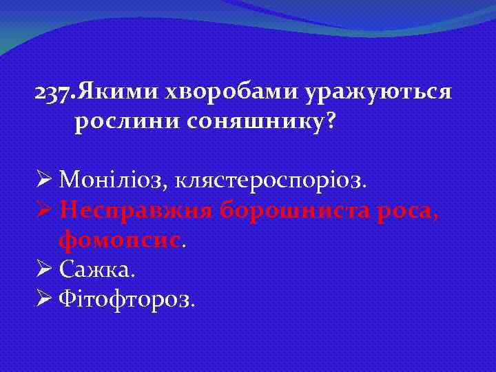 237. Якими хворобами уражуються рослини соняшнику? Ø Моніліоз, клястероспоріоз. Ø Несправжня борошниста роса, фомопсис.