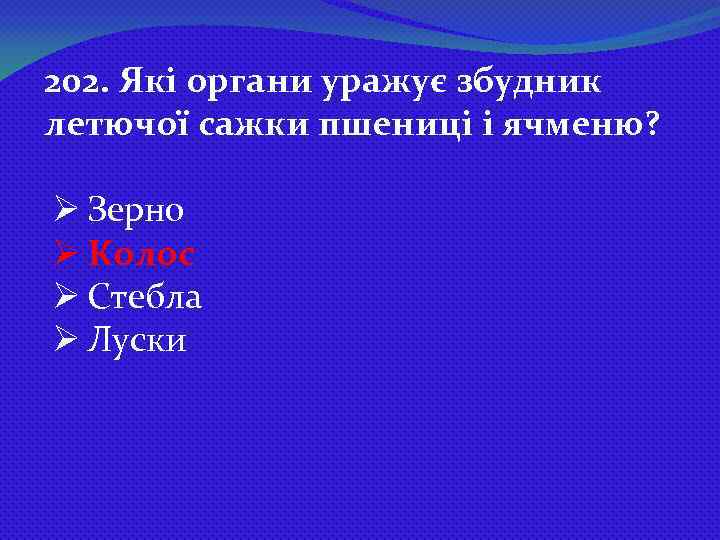 202. Які органи уражує збудник летючої сажки пшениці і ячменю? Ø Зерно Ø Колос