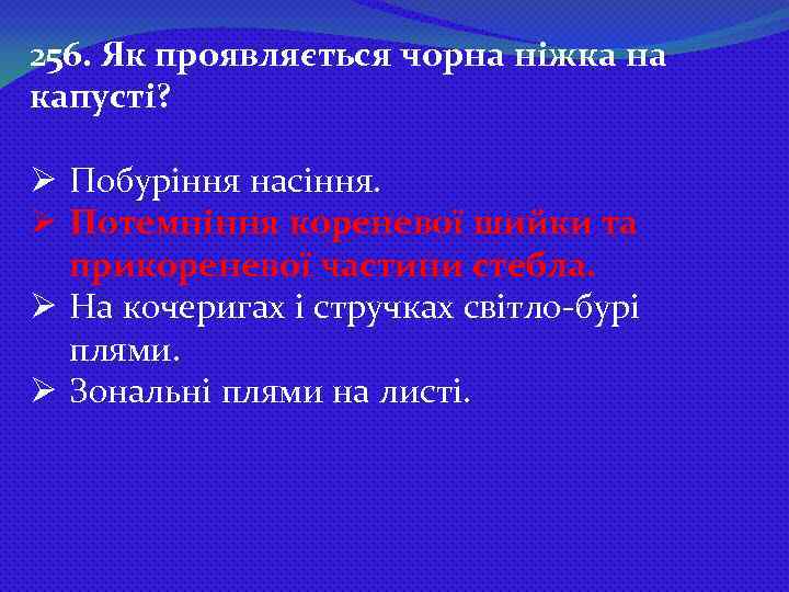 256. Як проявляється чорна ніжка на капусті? Ø Побуріння насіння. Ø Потемніння кореневої шийки