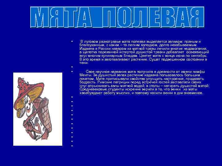  • • • • В луговом разнотравье мята полевая выделяется запахом: пряным и