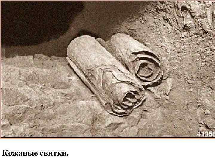 Кожаные свитки. 