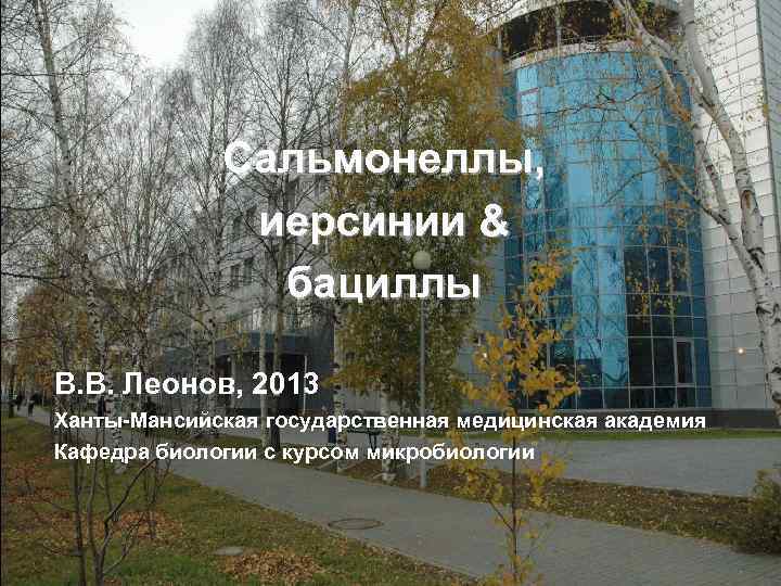 Сальмонеллы, иерсинии & бациллы В. В. Леонов, 2013 Ханты-Мансийская государственная медицинская академия Кафедра биологии
