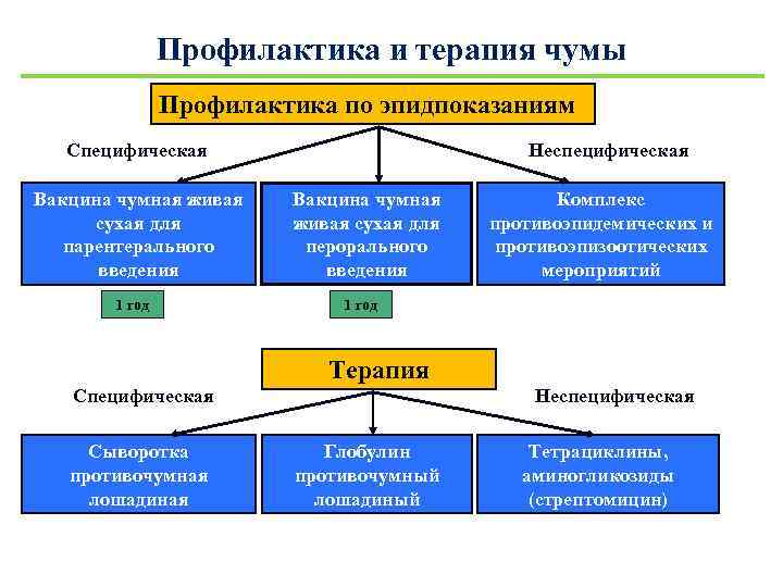 Профилактика и терапия чумы Профилактика по эпидпоказаниям Специфическая Вакцина чумная живая сухая для парентерального