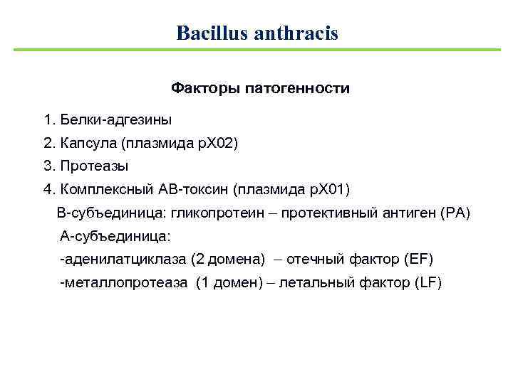 Bacillus anthracis Факторы патогенности 1. Белки-адгезины 2. Капсула (плазмида р. Х 02) 3. Протеазы