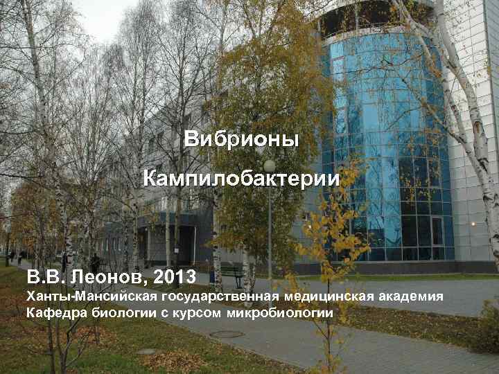Вибрионы Кампилобактерии В. В. Леонов, 2013 Ханты-Мансийская государственная медицинская академия Кафедра биологии с курсом
