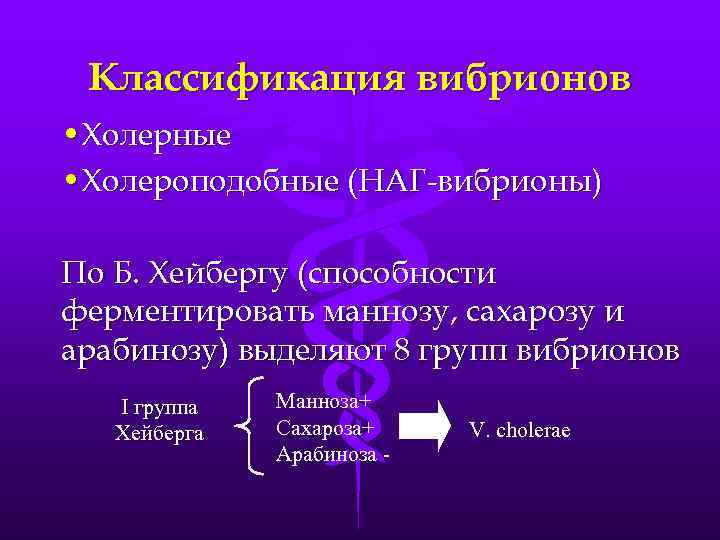 Классификация вибрионов • Холерные • Холероподобные (НАГ-вибрионы) По Б. Хейбергу (способности ферментировать маннозу, сахарозу