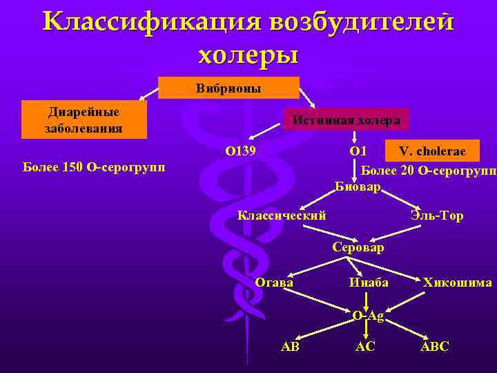 Холерный вибрион презентация