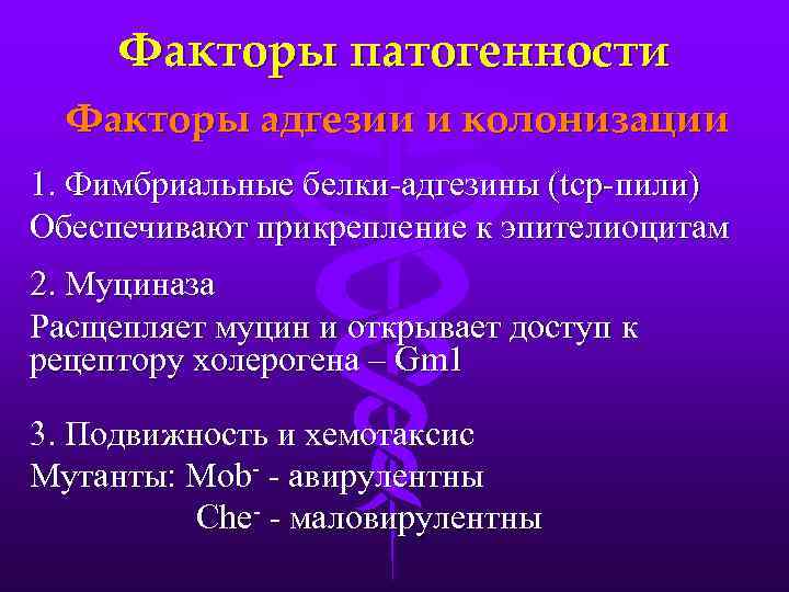 Факторы патогенности Факторы адгезии и колонизации 1. Фимбриальные белки-адгезины (tcp-пили) Обеспечивают прикрепление к эпителиоцитам