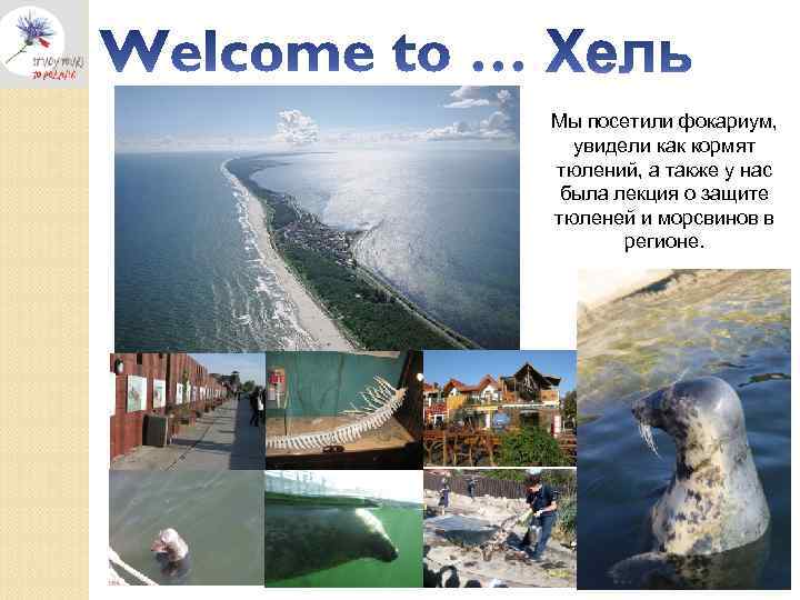 Мы посетили фокариум, увидели как кормят тюлений, а также у нас была лекция о