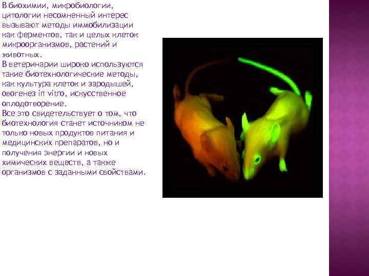 В биохимии, микробиологии, цитологии несомненный интерес вызывают методы иммобилизации как ферментов, так и целых