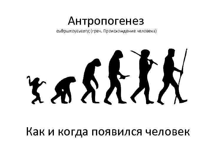 Антропогенез ανθρωπογενεσης (греч. Происхождение человека) Как и когда появился человек 
