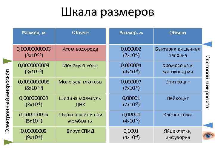 Шкала размеров Размер, м Объект 0, 000003 (3 x 10 -11) Электронный микроскоп Объект