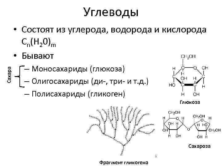 Состоят из углерода водорода кислорода. Углеводы состоят из. Из чего состоят олигосахариды. Углеводы состоят из Глюкозы. Углеводы состоят из углерода водорода и кислорода.