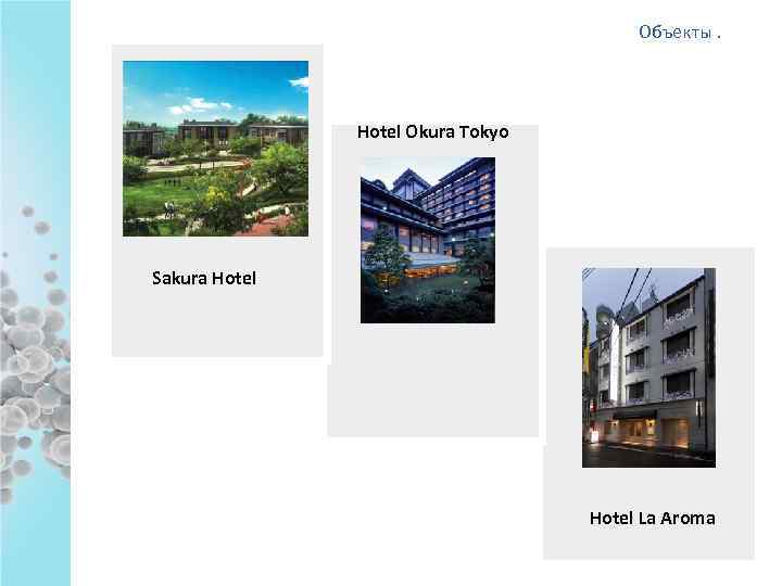 Объекты. Hotel Okura Tokyo Sakura Hotel La Aroma 