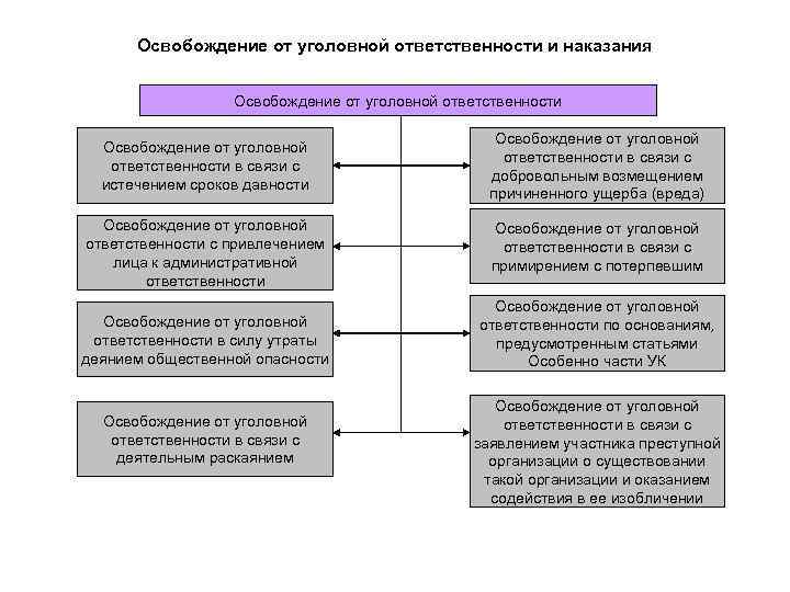 Освобождение от уголовной ответственности и наказания Освобождение от уголовной ответственности в связи с истечением