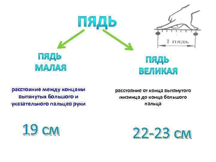 расстояние между концами вытянутых большого и указательного пальцев руки 19 см расстояние от конца