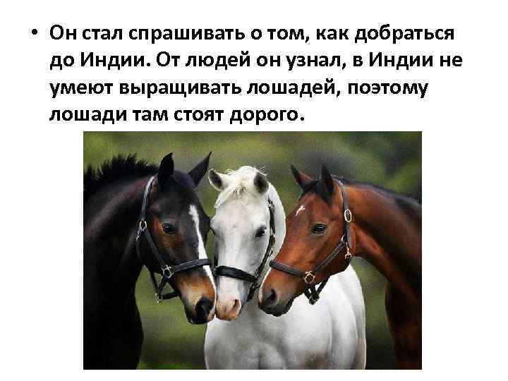  • Он стал спрашивать о том, как добраться до Индии. От людей он