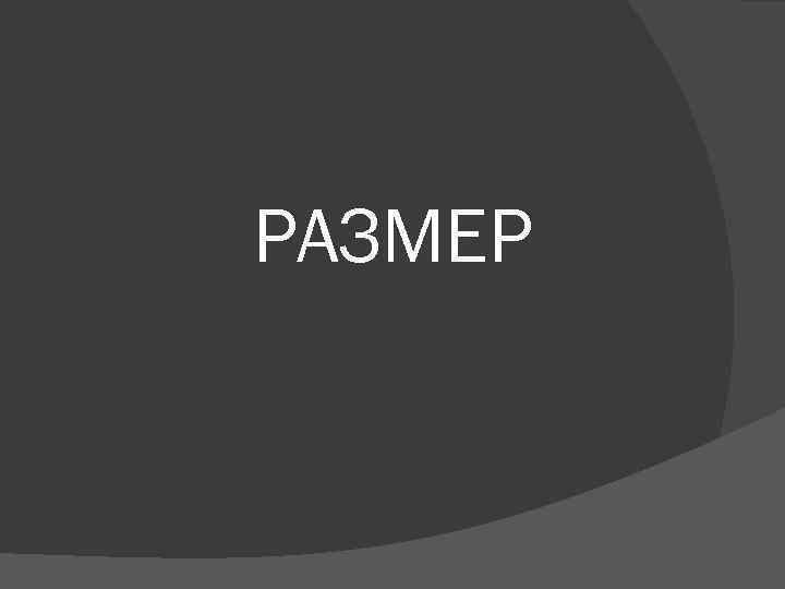 РАЗМЕР 