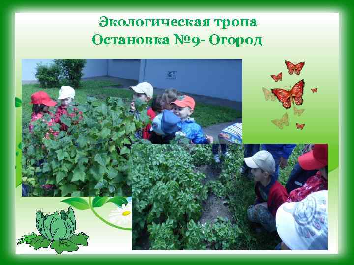 Экологическая тропа Остановка № 9 - Огород 