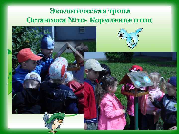 Экологическая тропа Остановка № 10 - Кормление птиц 