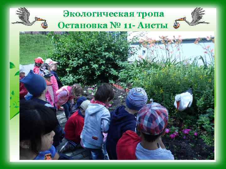 Экологическая тропа Остановка № 11 - Аисты 