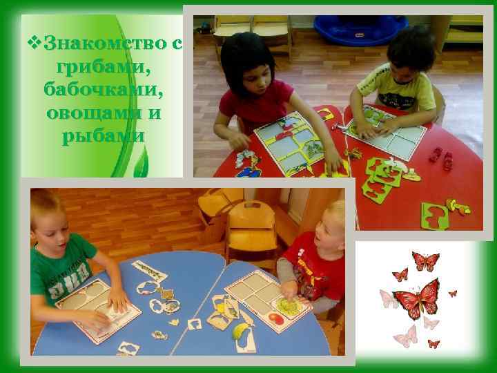 v. Знакомство с грибами, бабочками, овощами и рыбами 