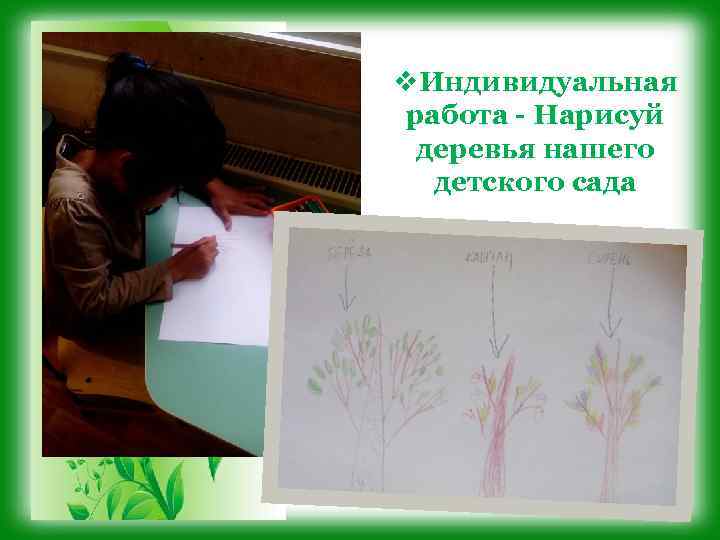 v. Индивидуальная работа - Нарисуй деревья нашего детского сада 