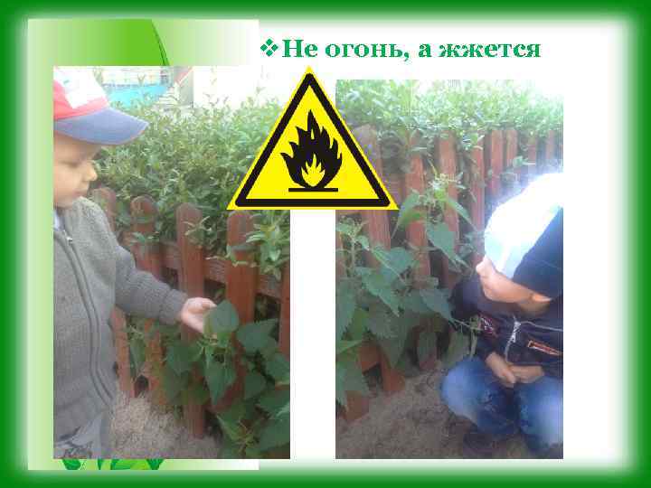 v. Не огонь, а жжется 