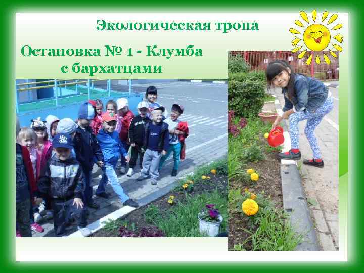 Экологическая тропа Остановка № 1 - Клумба с бархатцами 