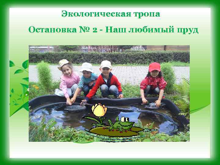 Экологическая тропа Остановка № 2 - Наш любимый пруд 