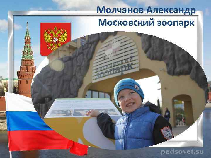 Молчанов Александр Московский зоопарк 