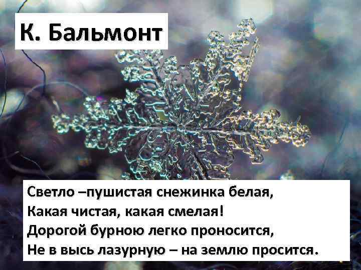 Бальмонт снежинка стихотворение текст. Бальмонт светло пушистая. Бальмонт светло-пушистая Снежинка. Светло-пушистая Снежинка белая какая чистая какая смелая к Бальмонт. Снежинка белая Бальмонт.